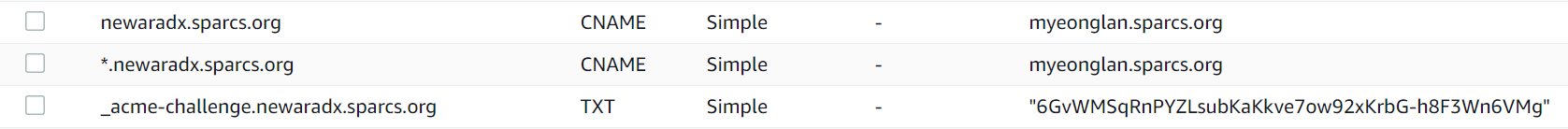 DNS record